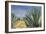 Agaves with Blue Sky, 2004-Pedro Diego Alvarado-Framed Giclee Print