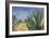 Agaves with Blue Sky, 2004-Pedro Diego Alvarado-Framed Giclee Print