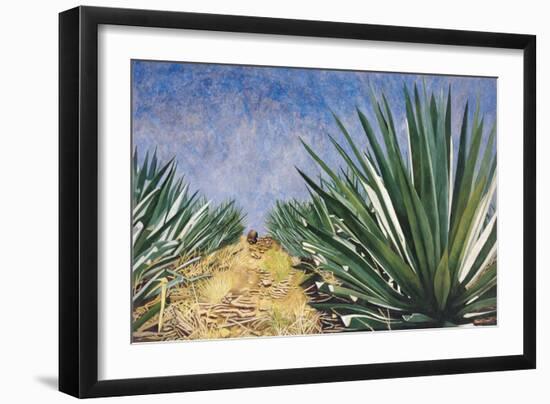 Agaves with Blue Sky, 2004-Pedro Diego Alvarado-Framed Giclee Print