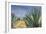 Agaves with Blue Sky, 2004-Pedro Diego Alvarado-Framed Giclee Print