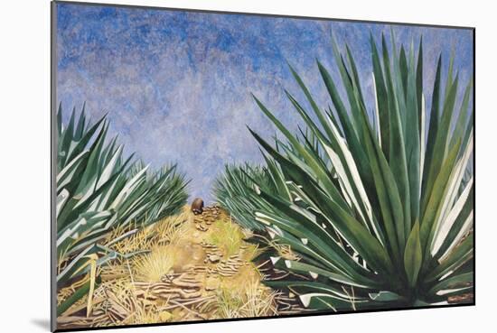 Agaves with Blue Sky, 2004-Pedro Diego Alvarado-Mounted Giclee Print