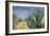 Agaves with Blue Sky, 2004-Pedro Diego Alvarado-Framed Giclee Print