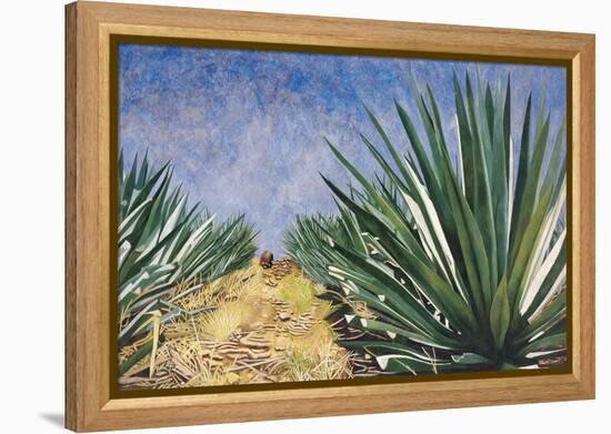 Agaves with Blue Sky, 2004-Pedro Diego Alvarado-Framed Premier Image Canvas