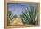 Agaves with Blue Sky, 2004-Pedro Diego Alvarado-Framed Premier Image Canvas