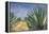 Agaves with Blue Sky, 2004-Pedro Diego Alvarado-Framed Premier Image Canvas