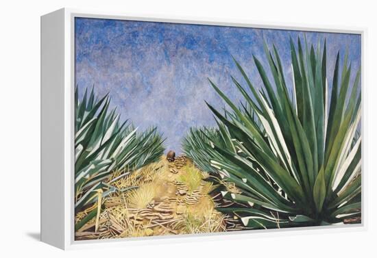 Agaves with Blue Sky, 2004-Pedro Diego Alvarado-Framed Premier Image Canvas