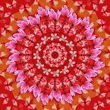 Floral Mandala Drawing Sacred Circle-AGCuesta-Stretched Canvas