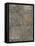 Aged Adinkra Cloth II-Samuel Dixon-Framed Stretched Canvas