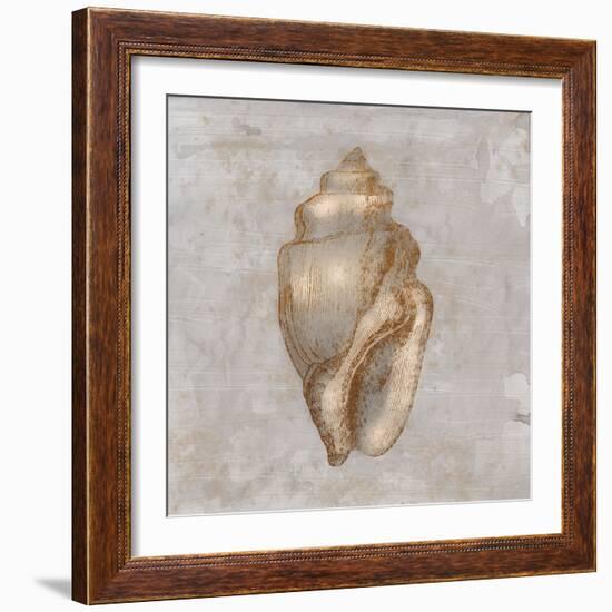 Aged Sea Shells 1-Marcus Prime-Framed Art Print