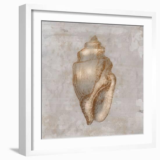 Aged Sea Shells 1-Marcus Prime-Framed Art Print