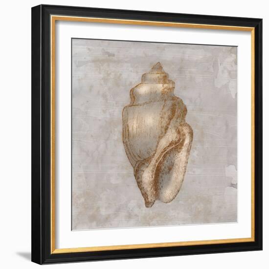 Aged Sea Shells 1-Marcus Prime-Framed Art Print