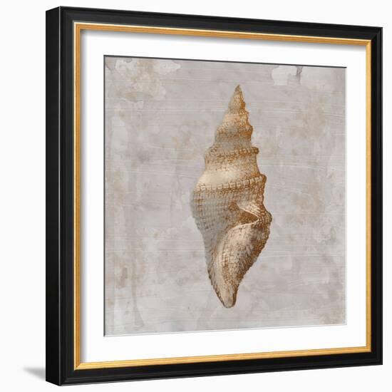 Aged Sea Shells 2-Marcus Prime-Framed Art Print