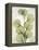 Aged Stone Eucalyptus-Albert Koetsier-Framed Stretched Canvas