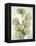 Aged Stone Eucalyptus-Albert Koetsier-Framed Stretched Canvas