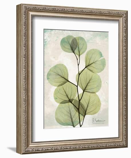 Aged Stone Eucalyptus-Albert Koetsier-Framed Art Print