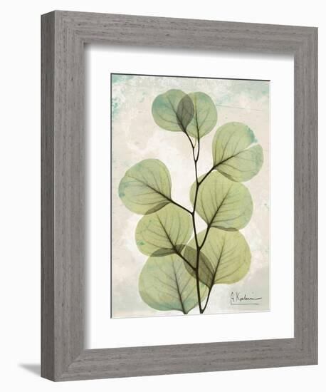 Aged Stone Eucalyptus-Albert Koetsier-Framed Art Print