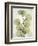 Aged Stone Eucalyptus-Albert Koetsier-Framed Art Print