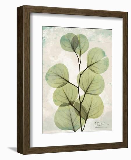 Aged Stone Eucalyptus-Albert Koetsier-Framed Art Print