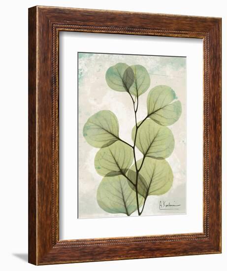 Aged Stone Eucalyptus-Albert Koetsier-Framed Art Print