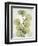 Aged Stone Eucalyptus-Albert Koetsier-Framed Art Print