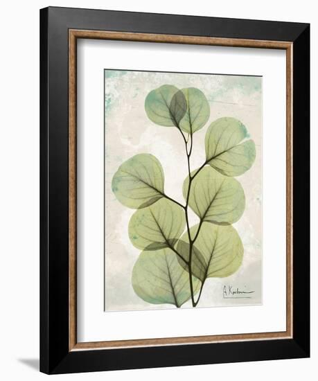 Aged Stone Eucalyptus-Albert Koetsier-Framed Art Print