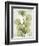 Aged Stone Eucalyptus-Albert Koetsier-Framed Art Print