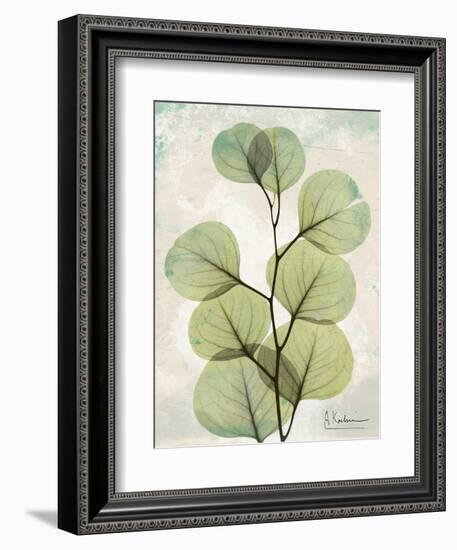 Aged Stone Eucalyptus-Albert Koetsier-Framed Art Print