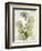 Aged Stone Eucalyptus-Albert Koetsier-Framed Art Print