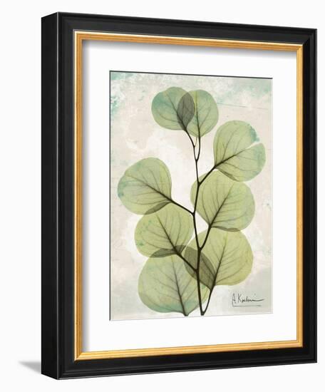 Aged Stone Eucalyptus-Albert Koetsier-Framed Art Print