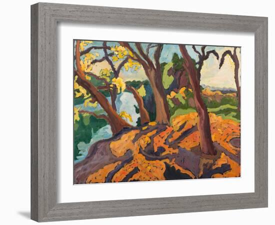 Ageing Trees, 2009-Marta Martonfi-Benke-Framed Giclee Print