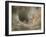 Agelena Labyrinthica, Funnel-Web Spider, Den, Spiderweb-Harald Kroiss-Framed Photographic Print