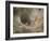 Agelena Labyrinthica, Funnel-Web Spider, Den, Spiderweb-Harald Kroiss-Framed Photographic Print