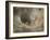 Agelena Labyrinthica, Funnel-Web Spider, Den, Spiderweb-Harald Kroiss-Framed Photographic Print