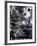 Ageless Ultramarine 2-Marcus Prime-Framed Art Print