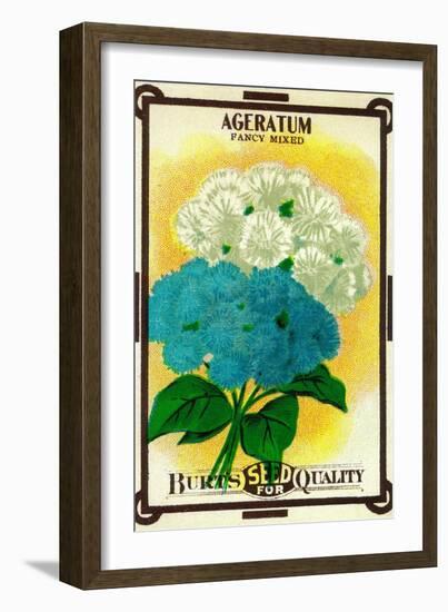 Ageratum Seed Packet-Lantern Press-Framed Art Print