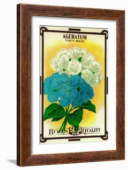 Ageratum Seed Packet-Lantern Press-Framed Art Print