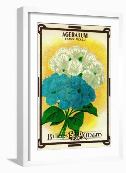 Ageratum Seed Packet-Lantern Press-Framed Art Print