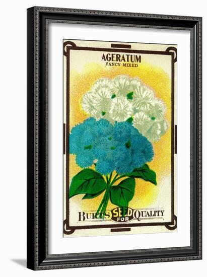 Ageratum Seed Packet-Lantern Press-Framed Art Print
