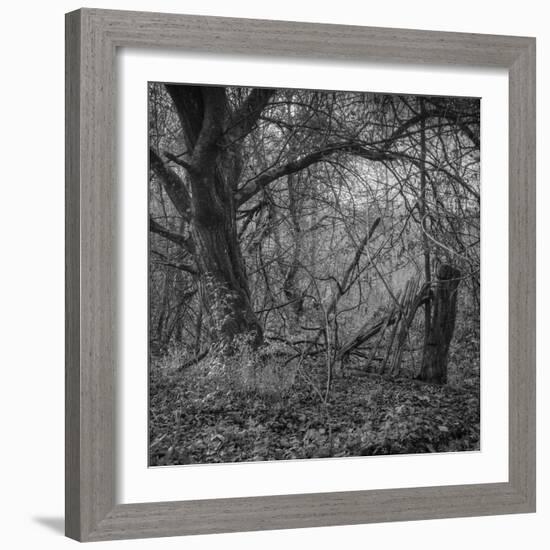 Ages-Tomislav Bogovic-Framed Photographic Print