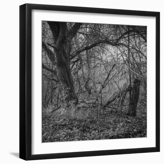 Ages-Tomislav Bogovic-Framed Photographic Print