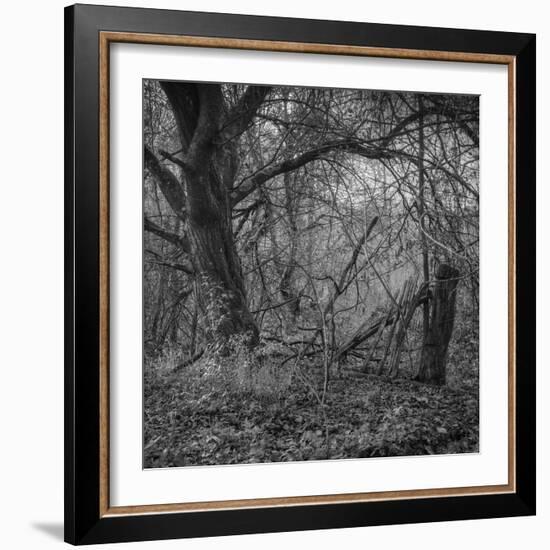 Ages-Tomislav Bogovic-Framed Photographic Print