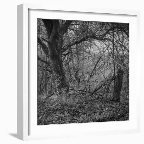 Ages-Tomislav Bogovic-Framed Photographic Print