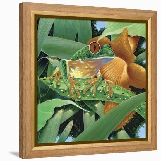 Aggie-Durwood Coffey-Framed Premier Image Canvas