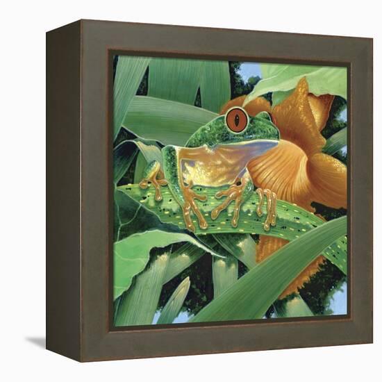 Aggie-Durwood Coffey-Framed Premier Image Canvas