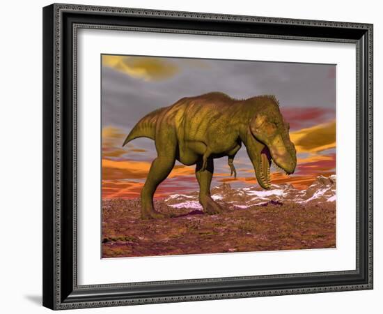 Aggressive Tyrannosaurus Rex Dinosaur Walking in the Desert-null-Framed Art Print