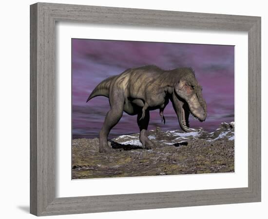 Aggressive Tyrannosaurus Rex Dinosaur Walking in the Desert-null-Framed Art Print