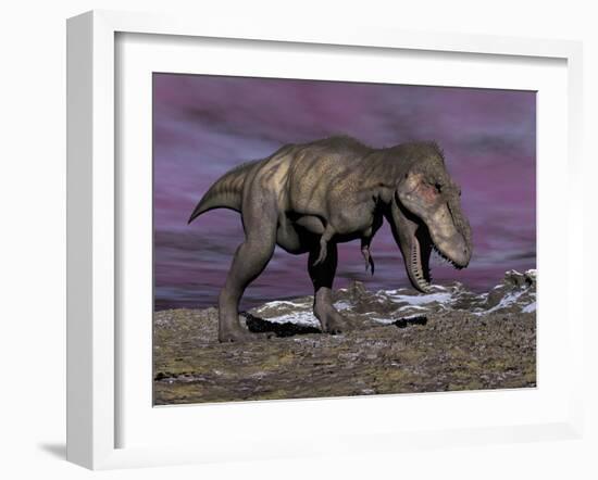 Aggressive Tyrannosaurus Rex Dinosaur Walking in the Desert-null-Framed Art Print