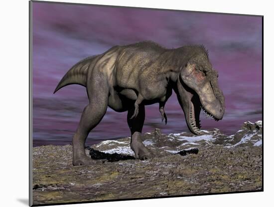 Aggressive Tyrannosaurus Rex Dinosaur Walking in the Desert-null-Mounted Art Print