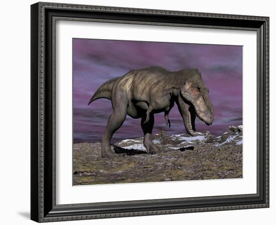 Aggressive Tyrannosaurus Rex Dinosaur Walking in the Desert-null-Framed Art Print