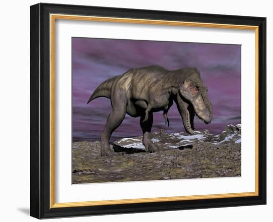 Aggressive Tyrannosaurus Rex Dinosaur Walking in the Desert-null-Framed Art Print